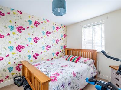 Picture 21
